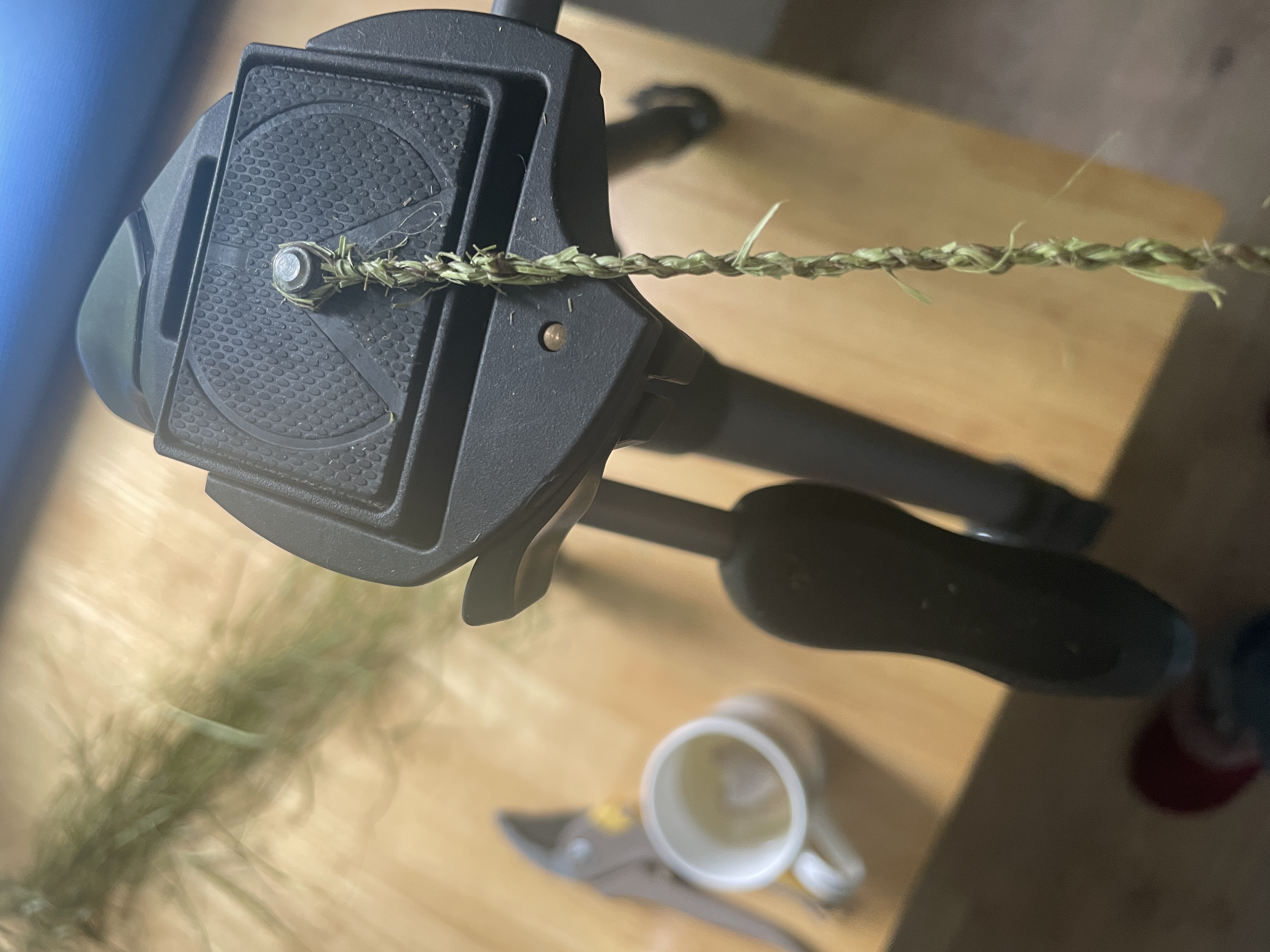 Costumes and Cordage