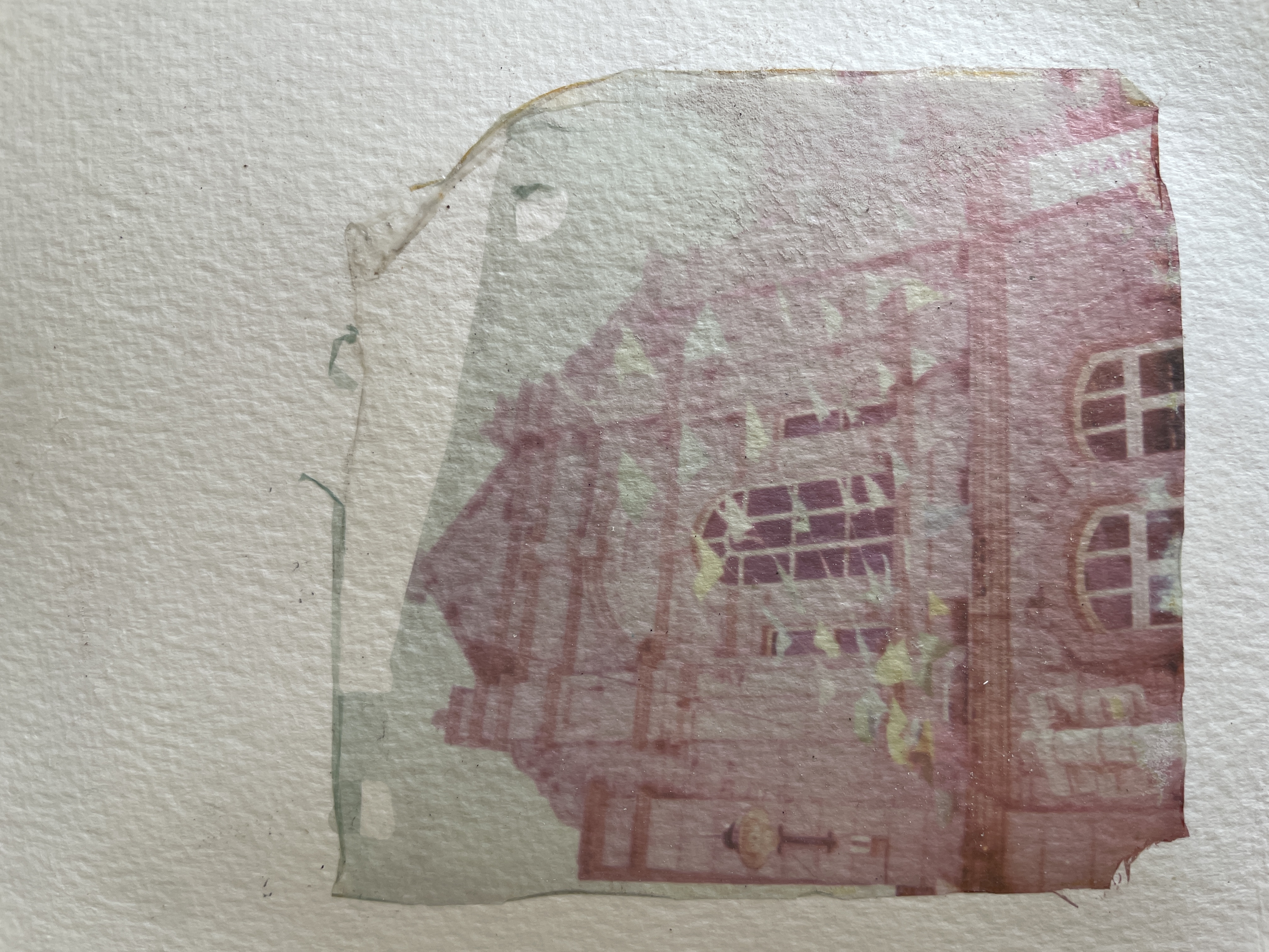Polaroid Transfers