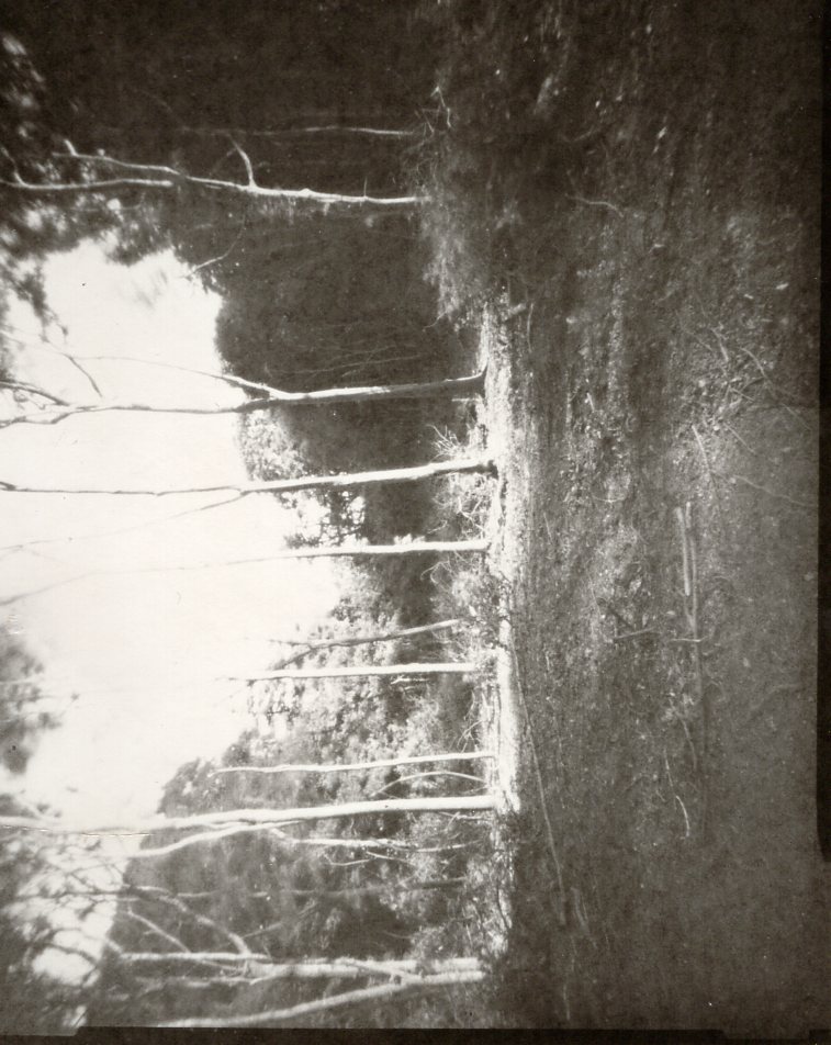 Pinhole Photography